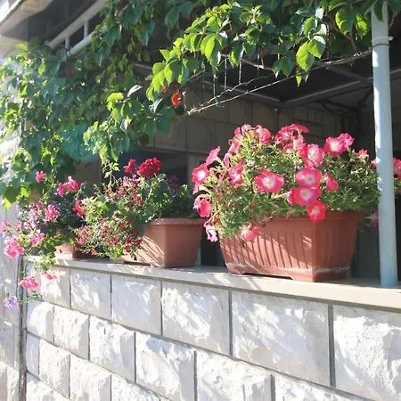 Apartment Ruzica Zrnovo Exterior photo